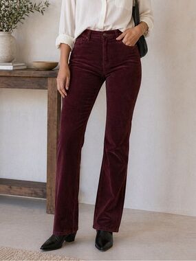 NWT Incotex Velvet Pants